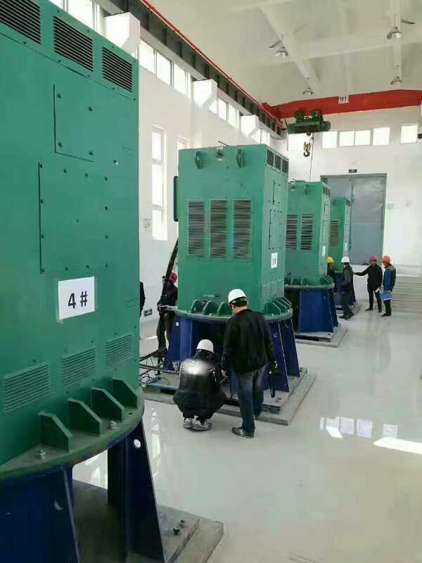 中方某污水处理厂使用我厂的立式高压电机安装现场